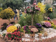 -上海共青森林公园