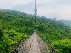 -三亚亚龙湾人间天堂鸟巢度假村