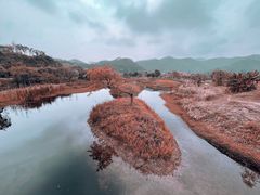 -大雁山风景区