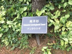 -厦门悦华酒店