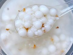 -潘玉麟糖粥