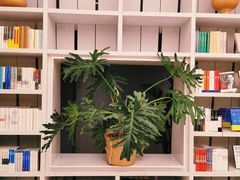 -二酉书店TOYOU BOOKS