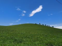 -百草敖包