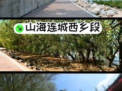 -宝安西湾红树林湿地公园