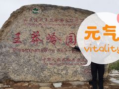 门面-王莽岭风景区