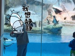 -帝企鹅自助餐厅•儿童岛•真企鹅(长隆企鹅酒店)