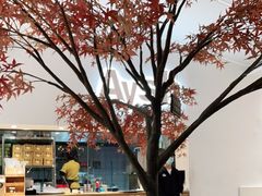 -艾薯夫妇Aysh(福田星河COCOPark店)