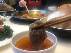 -孙毛肚火锅(春熙路店)
