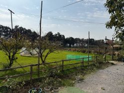 -DORA kids 朵拉儿童摄影花园店