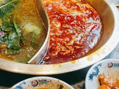 -小龙坎火锅(春熙太古里店)