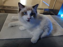 -零纪元VR体验馆·桌游(黄浦店)