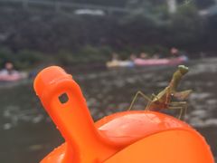 -仙人谷漂流景区