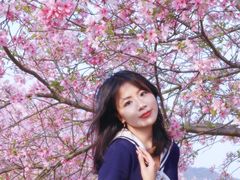 -天适樱花悠乐园