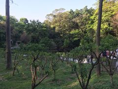 -广州市白云山风景名胜区