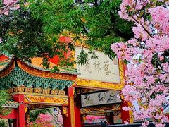 -宝墨园景区