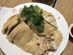 泰煌鸡-泰煌鸡·上海白斩鸡·鸡汤面(鹤庆店)
