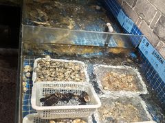 -小时候焗海鲜(鄞州万达店)