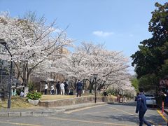 -浙江大学(玉泉校区)