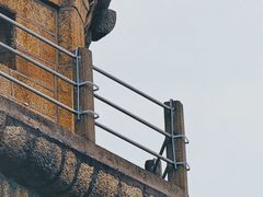 -船政文化景区-罗星塔公园