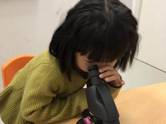 -斯坦星球AI编程·机器人科创·科学实验·信奥·思维·STEM·积木拼搭·竞赛考级(浦东联洋广场大拇指龙阳御桥中心)