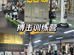 -拳力汇散打搏击泰拳俱乐部(绿地缤纷城店)