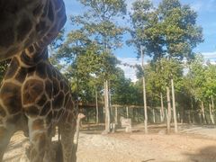 -清迈夜间动物园