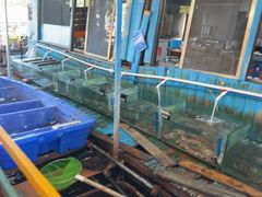-蓝湾碧波·老字号·疍家非遗海上餐厅