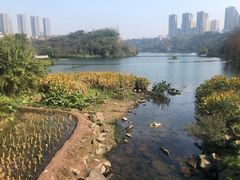 -重庆彩云湖湿地公园