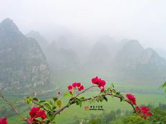-万峰林风景区
