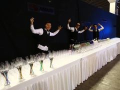 -东浩兰生上海世博展览馆