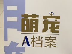 -申普宠物医院·心脏介入·心血管微创(总院)