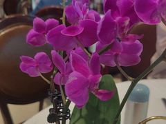 -金河半岛园林酒家(金融城店)