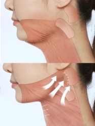 -小颜秘家·韩国整骨