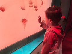 -沈阳海洋探索中心