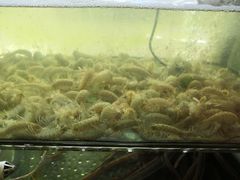 -合家小菜餐馆(新诚花苑店)