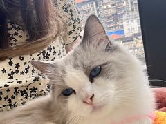 -怪兽屋·羊驼·猫咖·狗咖(俊华广场店)