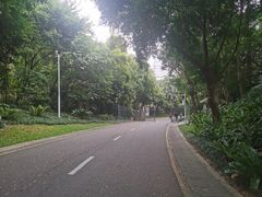 -深圳国际园林花卉博览园