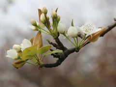 -白塘生态植物园