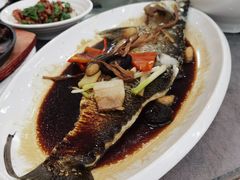 清蒸白刀鱼-同君福大酒楼(紫新路店)