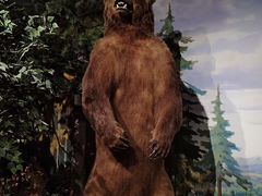 -陕西自然博物馆