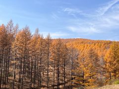 -塞罕坝国家级自然保护区