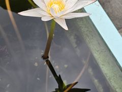 -钱王祠