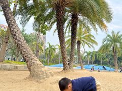 -宝安西湾红树林湿地公园