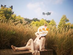 -白鹭湾湿地公园