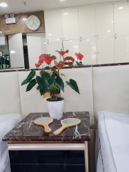 点击看大图 -悟空祛痘·诺奖技术专业店