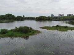 -大蜀山国家森林公园