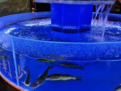 -佬麻雀·剁椒鱼头(京基KK One店)