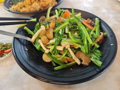 青龙菜炒白玉菇-大树下海鲜饭店