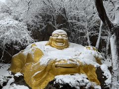 -紫金山山顶公园