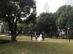 -重庆市江北嘴中央商务区中央公园